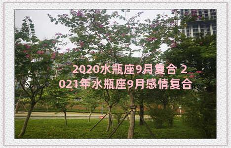 2020水瓶座9月复合 2021年水瓶座9月感情复合